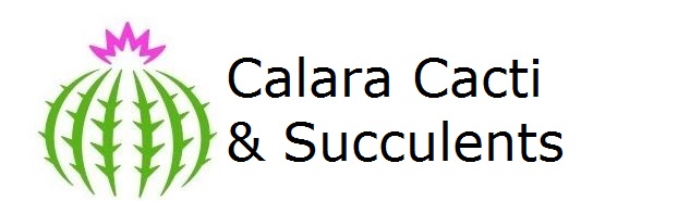Calara Cacti and Succulents